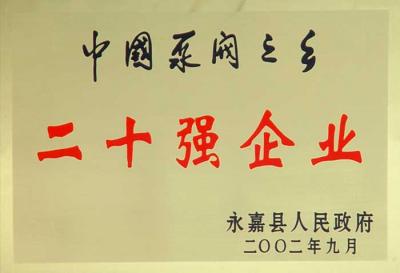 中國(guó)泵閥之鄉(xiāng)二******企業(yè)